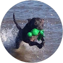 Mark Richardson profile picture