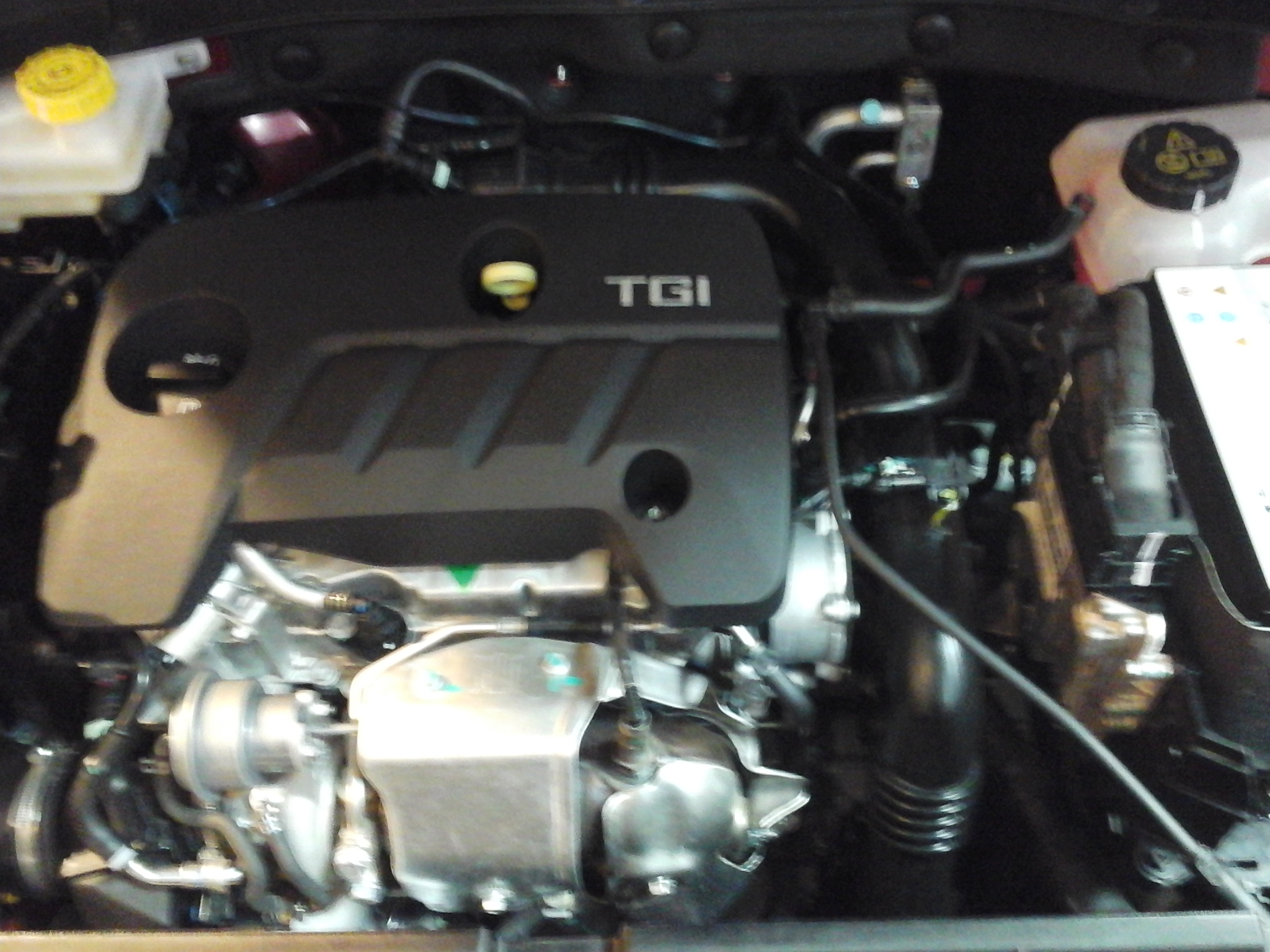 Zs Petrol