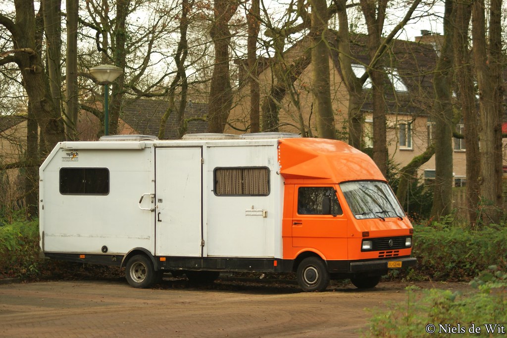 LT 46
